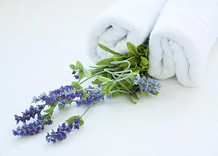 公寓 Smart 斯普利特